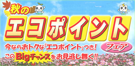 秋のエコポイントフェア 秋のエコポイントフェア